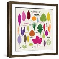 Colours of Leaves-Jenny Frean-Framed Giclee Print
