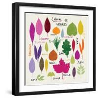 Colours of Leaves-Jenny Frean-Framed Giclee Print