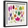 Colours of Leaves-Jenny Frean-Framed Giclee Print