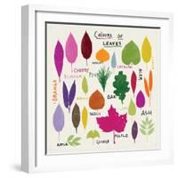 Colours of Leaves-Jenny Frean-Framed Giclee Print