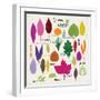 Colours of Leaves-Jenny Frean-Framed Giclee Print