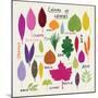 Colours of Leaves-Jenny Frean-Mounted Giclee Print