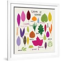 Colours of Leaves-Jenny Frean-Framed Giclee Print