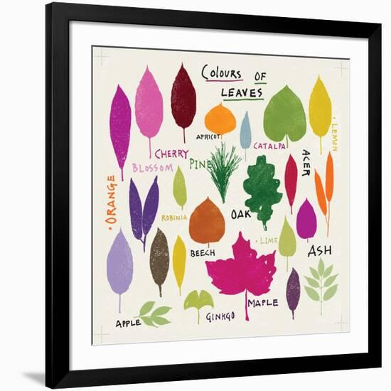 Colours of Leaves-Jenny Frean-Framed Giclee Print