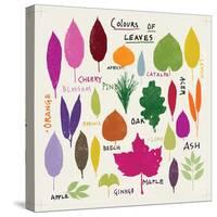 Colours of Leaves-Jenny Frean-Stretched Canvas