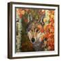 Colours Of The Wolf-Graeme Stevenson-Framed Giclee Print