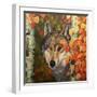 Colours Of The Wolf-Graeme Stevenson-Framed Giclee Print