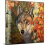 Colours Of The Wolf-Graeme Stevenson-Mounted Giclee Print