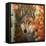 Colours Of The Wolf-Graeme Stevenson-Framed Stretched Canvas