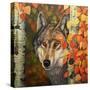 Colours Of The Wolf-Graeme Stevenson-Stretched Canvas