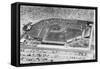 Colt Stadium-null-Framed Stretched Canvas