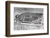 Colt Stadium-null-Framed Photographic Print