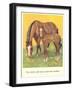 Colt Stays Near Mother-null-Framed Art Print