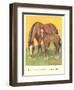 Colt Stays Near Mother-null-Framed Art Print