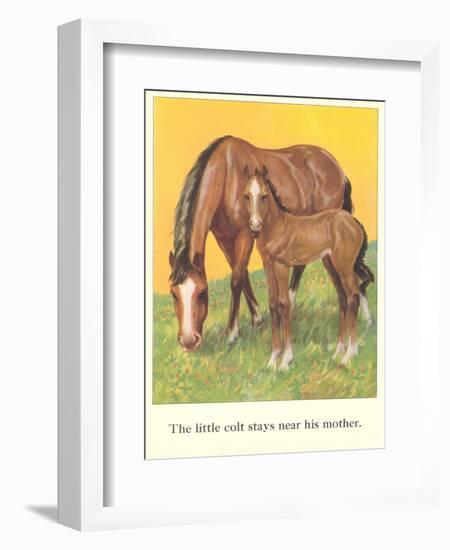 Colt Stays Near Mother-null-Framed Art Print