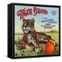 Colton, California, Tiger Brand Citrus Label-Lantern Press-Framed Stretched Canvas