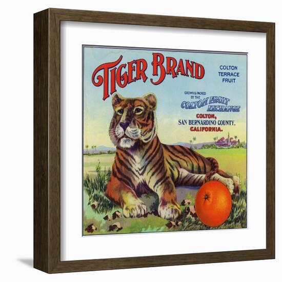 Colton, California, Tiger Brand Citrus Label-Lantern Press-Framed Art Print