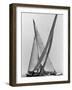 Columbia and Nefertiti During America's Cup Trial-George Silk-Framed Photographic Print