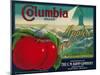 Columbia Apple Crate Label - Yakima, WA-Lantern Press-Mounted Art Print