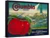 Columbia Apple Crate Label - Yakima, WA-Lantern Press-Framed Stretched Canvas