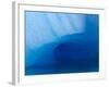 Columbia Glacier Iceberg, Columbia Bay, Prince William Sound, Alaska, USA-Hugh Rose-Framed Photographic Print