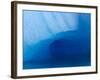 Columbia Glacier Iceberg, Columbia Bay, Prince William Sound, Alaska, USA-Hugh Rose-Framed Photographic Print