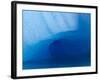 Columbia Glacier Iceberg, Columbia Bay, Prince William Sound, Alaska, USA-Hugh Rose-Framed Photographic Print