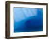 Columbia Glacier Iceberg, Columbia Bay, Prince William Sound, Alaska, USA-Hugh Rose-Framed Photographic Print