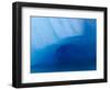 Columbia Glacier Iceberg, Columbia Bay, Prince William Sound, Alaska, USA-Hugh Rose-Framed Photographic Print