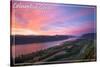 Columbia Gorge from Crown Point-Lantern Press-Stretched Canvas