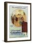 Columbia Gramophone Advertisement-null-Framed Art Print