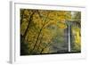 Columbia, Latourell Falls with Fall Leaves Columbia River Gorge-Jamie & Judy Wild-Framed Photographic Print