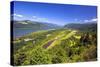 Columbia River Gorge from Crown Point, Oregon, Columbia River Gorge National Scenic Area, Oregon-Craig Tuttle-Stretched Canvas