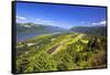Columbia River Gorge from Crown Point, Oregon, Columbia River Gorge National Scenic Area, Oregon-Craig Tuttle-Framed Stretched Canvas