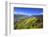 Columbia River Gorge from Crown Point, Oregon, Columbia River Gorge National Scenic Area, Oregon-Craig Tuttle-Framed Photographic Print