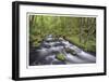 Columbia River Gorge I-Donald Paulson-Framed Giclee Print