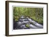 Columbia River Gorge I-Donald Paulson-Framed Giclee Print