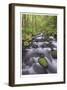 Columbia River Gorge II-Donald Paulson-Framed Giclee Print