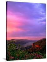 Columbia River Gorge IX-Ike Leahy-Stretched Canvas