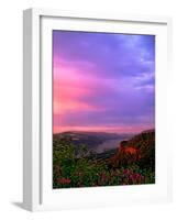 Columbia River Gorge IX-Ike Leahy-Framed Photographic Print