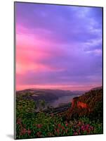 Columbia River Gorge IX-Ike Leahy-Mounted Photographic Print