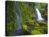 Columbia River Gorge National Scenic Area, Oregon-Ethan Welty-Stretched Canvas