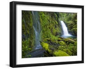 Columbia River Gorge National Scenic Area, Oregon-Ethan Welty-Framed Photographic Print