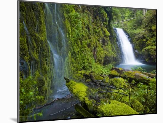 Columbia River Gorge National Scenic Area, Oregon-Ethan Welty-Mounted Photographic Print