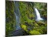 Columbia River Gorge National Scenic Area, Oregon-Ethan Welty-Mounted Photographic Print