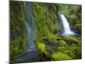 Columbia River Gorge National Scenic Area, Oregon-Ethan Welty-Mounted Photographic Print