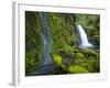 Columbia River Gorge National Scenic Area, Oregon-Ethan Welty-Framed Photographic Print