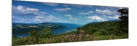 Columbia River Gorge V-Ike Leahy-Mounted Art Print