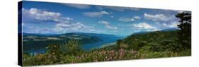 Columbia River Gorge V-Ike Leahy-Stretched Canvas