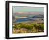 Columbia River Surounded Agriculture, Central Washington, USA-Janis Miglavs-Framed Photographic Print